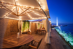 Панорамный ресторан Sky Terrace